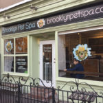 BPS STORE FRONT1 / creative and production