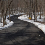 BLOOMER ROAD / photographed by Chris Yake