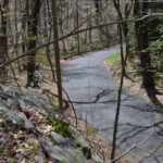 IVY HILL RD / photographed by Chris Yake