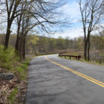 LIMESTONE RD / photographed by Chris Yake